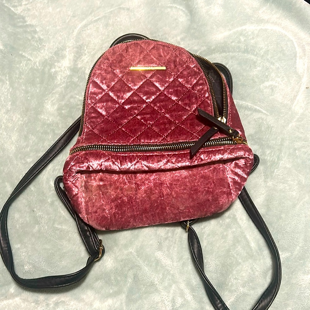 Aldo Backpack